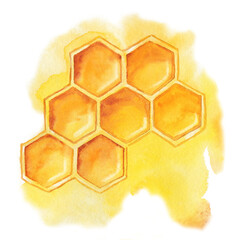 Honeycomb with honey, bee product isolated on white background. Close-up watercolor illustration. Packaging and wrapping design for honey, food industry, beekeeper