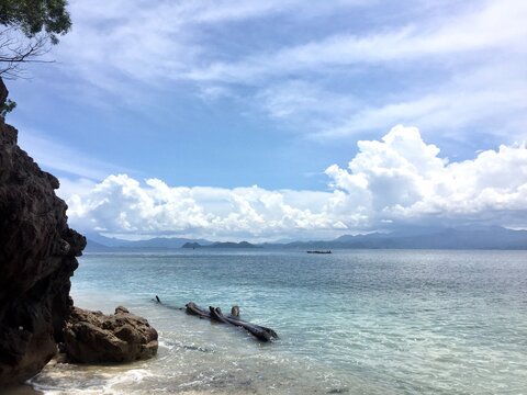 Ocean view with the floating tree trunk