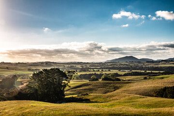 heathlands in Mangawhai