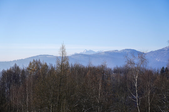 View of High Tatras Mountains from near mountain hut Cyrla in winter sunny day