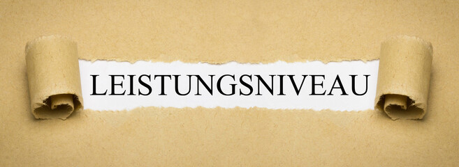 Leistungsniveau