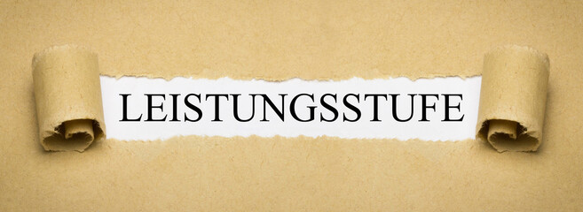 Leistungsstufe
