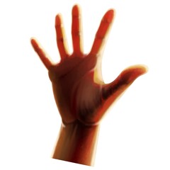 手のひら　逆光