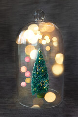 Kleiner Weihnachtsbaum in Glasglocke