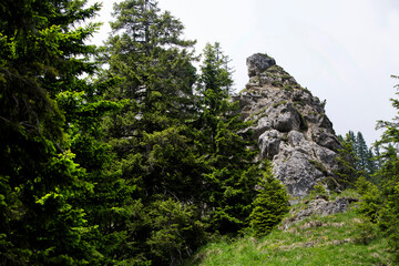 Fototapeta na wymiar View to mountain top in the Bavarian Alps