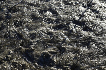 Der entleerte Stausee Forggensee im Allgäuer Alpenvorland 