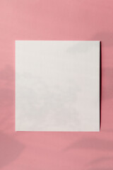 women's blog. blank white sheet on pink background