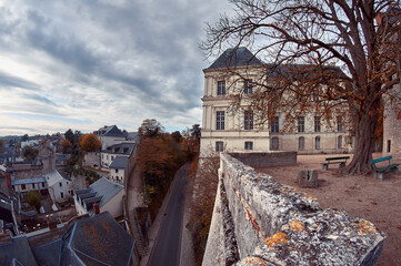 Fototapeta na wymiar Blois toits