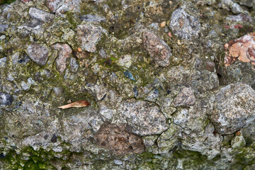 fragment of a crack in a concrete slab