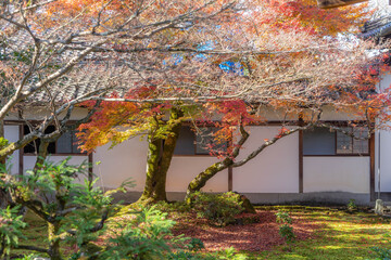 仁和寺