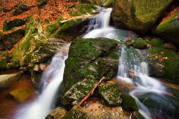 Autumn long exposure of creek Black (Big) Stolpich waterfalls in Jizera Mountain. Water falls into a deep forest canyon full of granite stones and rocks covered with green moss. Czech Republic