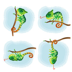 Vector cartoon set of cute chameleon © riko_design