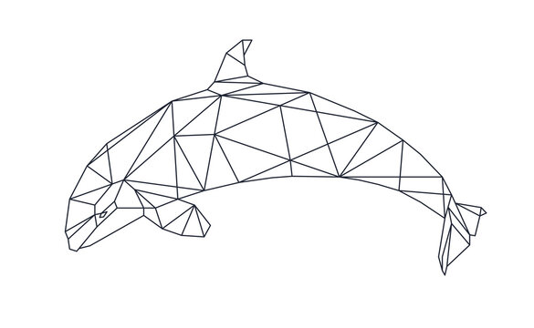 Isolated dolphin in low poly style on white background. A polygonal illustration of an aquatic animal consisting of triangles. Geometric design for the logo, for printing on clothes or poster. Vector.