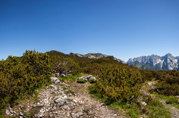 Panorama view from mountain Peterskoepfl to Kaisergebirge in Tyrol, Austria