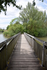 Naklejka na ściany i meble Holz-Brücke über Wasser in der Natur