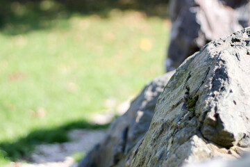 black stones on a meadow stacked in circles, a human work