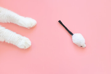 White cat legs and a toy mouse. Pink background, copy space, top view. Concept of games and...