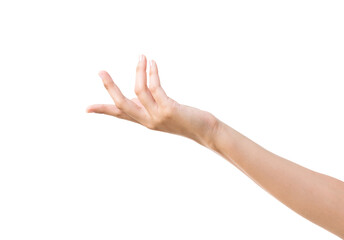 Open woman hand on white background