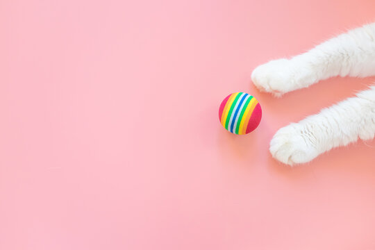 White cat paws and a toy ball. Pink background, copy space, top view. Concept of games and entertainment for pets..