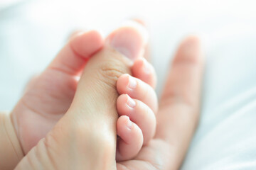 The hands of a newborn baby hold his mother's hand. Family Concept