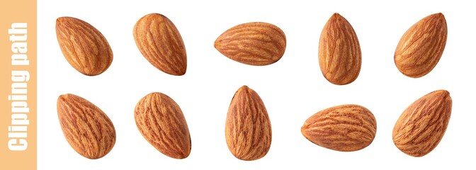 almond collection set almond nuts isolated.Clipping path
