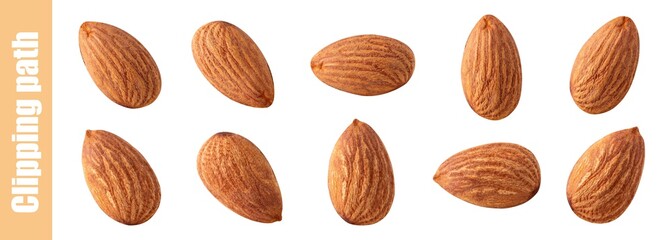 almond collection set almond nuts isolated.Clipping path