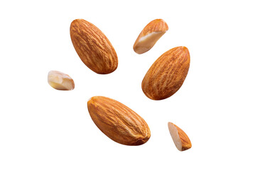 almond raw coolection fly on white. isolated