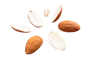 almond raw coolection fly on white. isolated