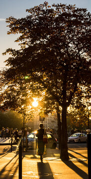 La silhouette d'une femme marchant sur le parvis de Notre Dame de Paris.