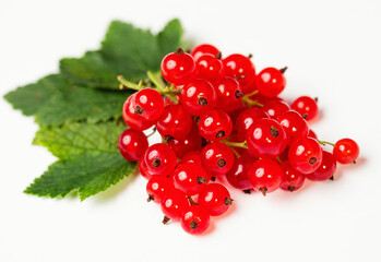 Ripe red currants (Ribes rubrum) with green leaves on white background with dropped shadow. Fresh bunch of natural fruit on branch. Close-up, studio shot. Organic farming, healthy food, BIO viands.