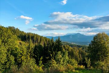 Obraz premium Nice view of the green forest against the background of mountains and blue sky.