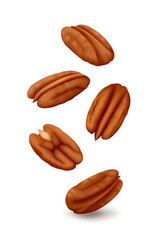 Falling five pecan nuts (halves of kernels) in the air. Isolated on white background. Realistic vector illustration.