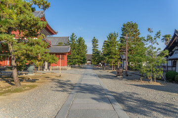 妙心寺