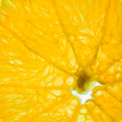Close-up of an orange slice isolated on a white background.