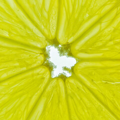 Close-up of a yellow lemon slice isolated on a white background.