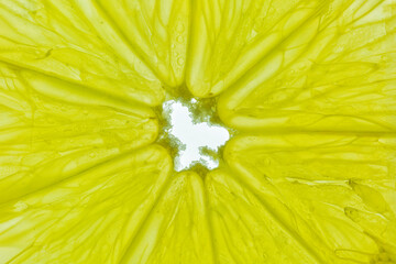 Close-up of a yellow lemon slice isolated on a white background.