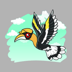 hornbill in khao yai in thailand 