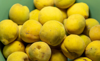 Ripe fresh peach fruits on green background