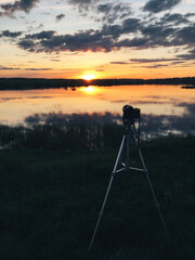 Summer landscape on the shore of a pond in the setting sun