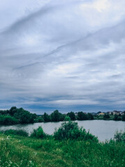 Summer landscape on the shore of a pond in the setting sun