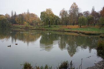 lake in autumn