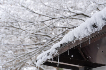 屋根下の氷柱と雪景色（木の枝バック）