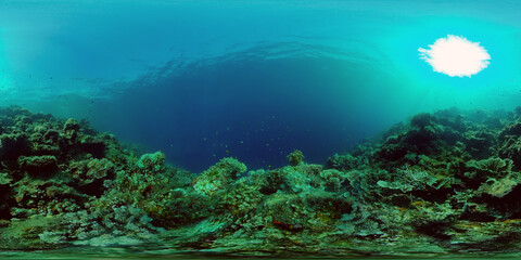 Fototapeta na wymiar Tropical coral reef seascape with fishes, hard and soft corals. 360 panorama VR