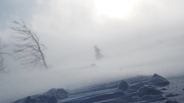 snow storm in mountains, epic strong wind in polar region in winter, arctic weather. blowing wind and powder snow, wintertime. winter forest, strong wind, ecology, snow winter
