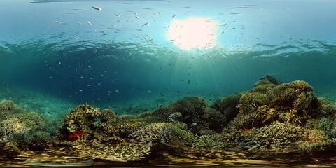 Tropical fishes and coral reef underwater. Hard and soft corals, underwater landscape. Philippines. Virtual Reality 360.