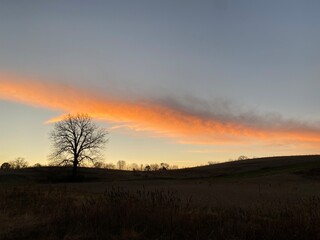 sunset over the field
