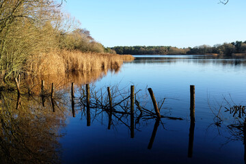 Still water on a large calm lake, during a cold sunny winters morning, Surrey, UK