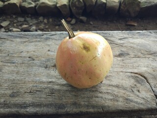 The ripe pomegranate, another name for pomegranate is Punica granatum