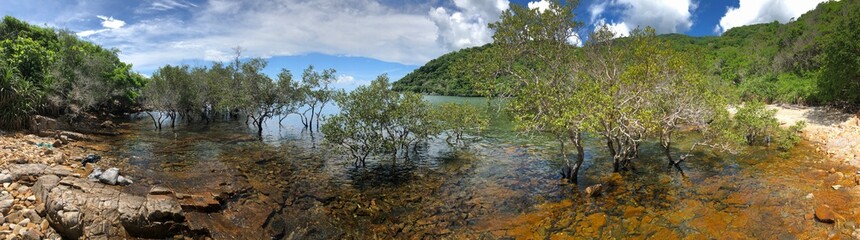 Secluded Beach with Mangroves Panorama, Con Dao, Vietnam