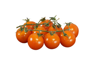 Fresh tomatoes on a branch isolated on white background. Cherry tomato variety